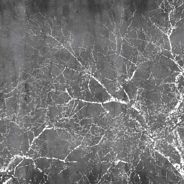 Nina Gris - Papel Pintado