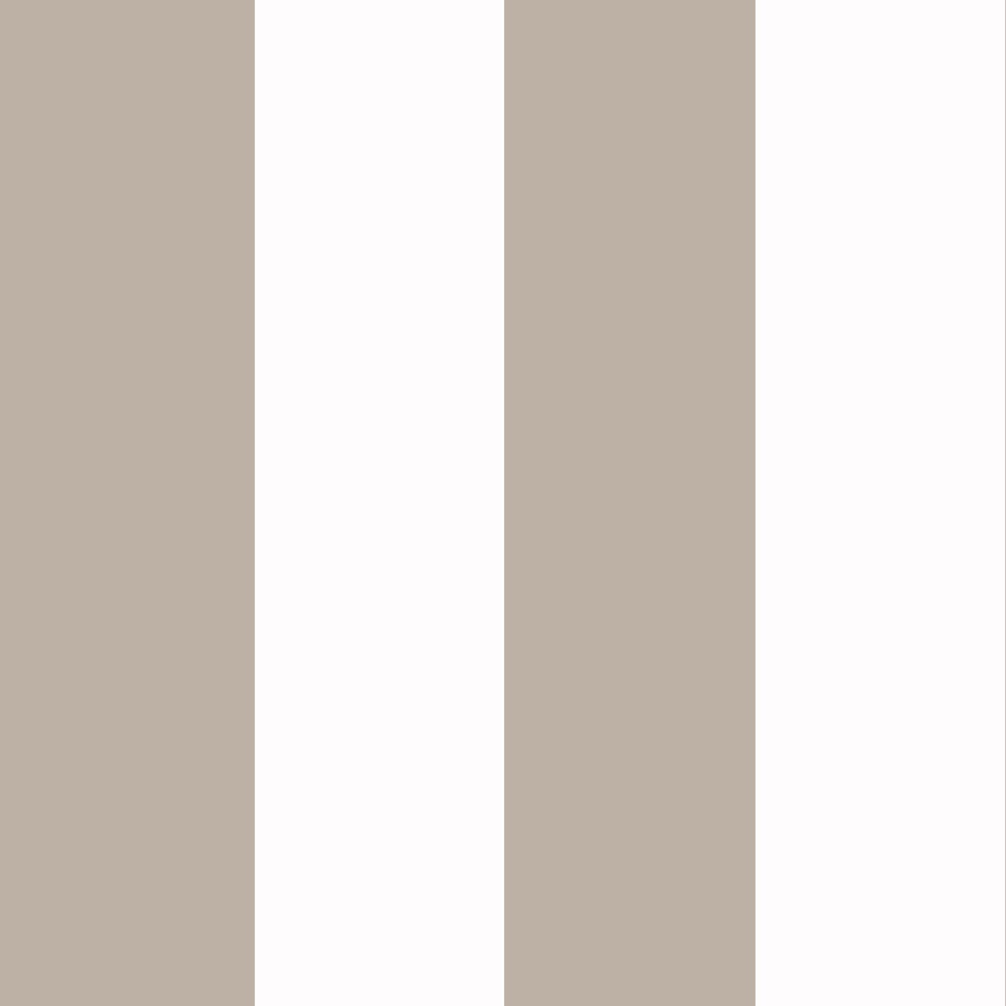 Cinta Taupe - Rollo 5m2