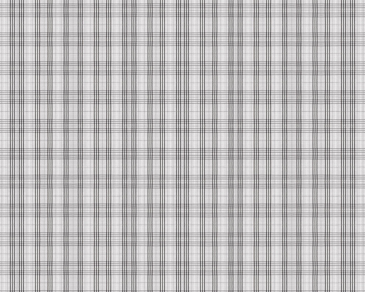Escocés Gris - Papel Pintado