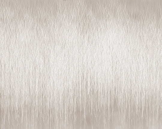Pastos Topo - Papel Pintado
