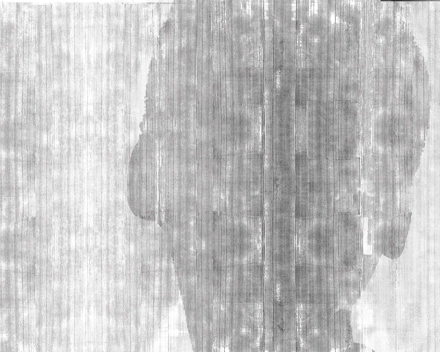Silueta - Papel Pintado