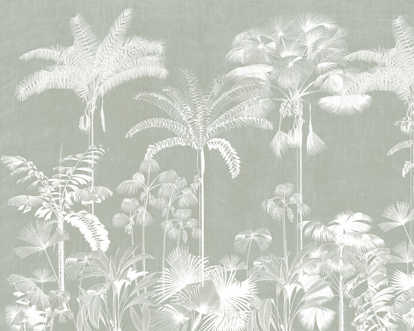 Guinea Sage - Papel Pintado