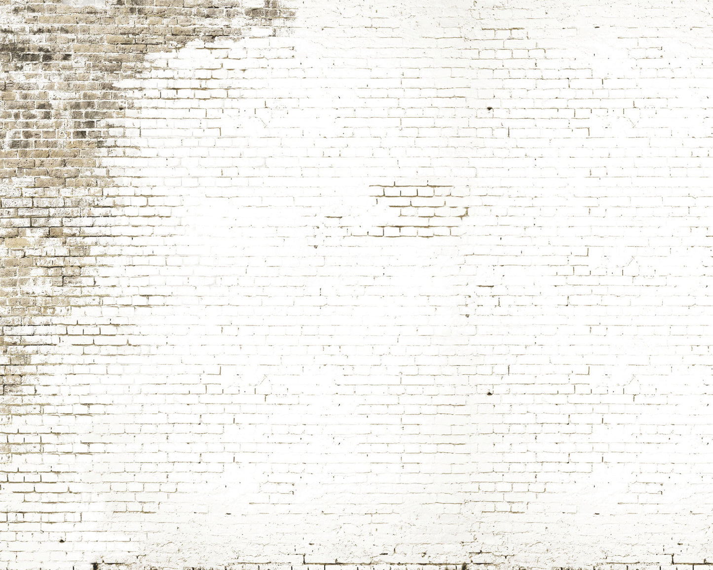 Ladrillos Blanco - Papel Pintado x m2