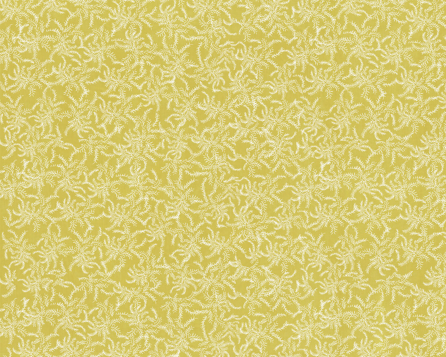 Laurel Limon - Papel Pintado