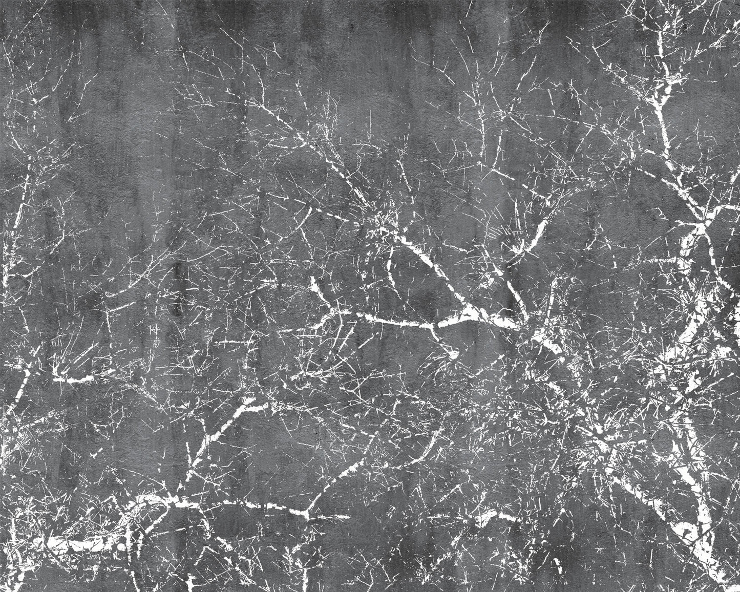 Nina Gris - Papel Pintado