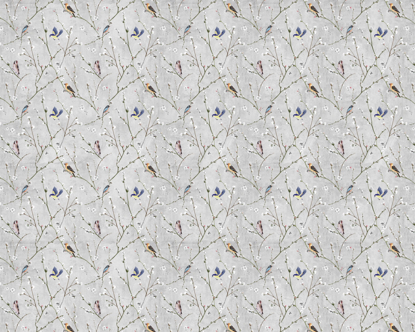 Paloma Gris - Papel Pintado