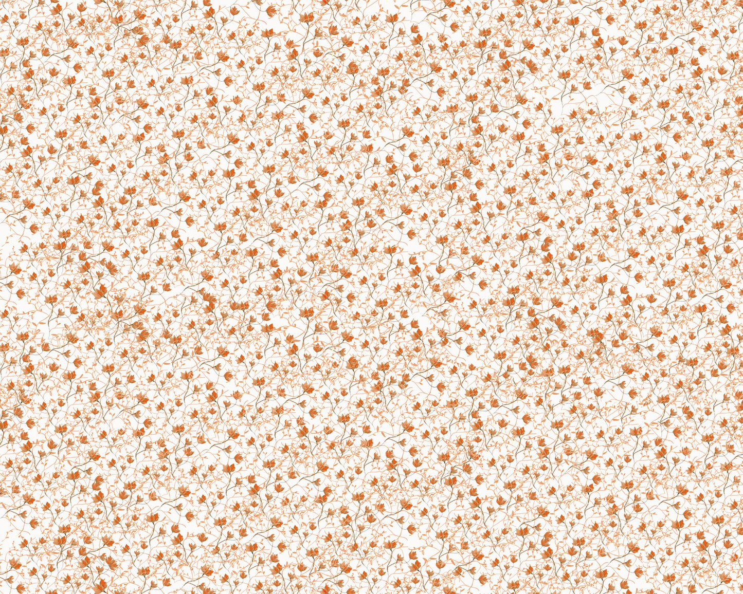 Amapolas Caqui - Papel Pintado