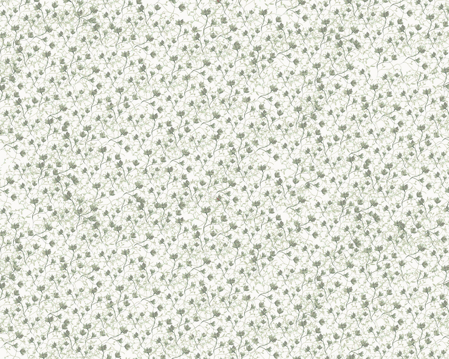 Amapolas Verdes - Papel Pintado