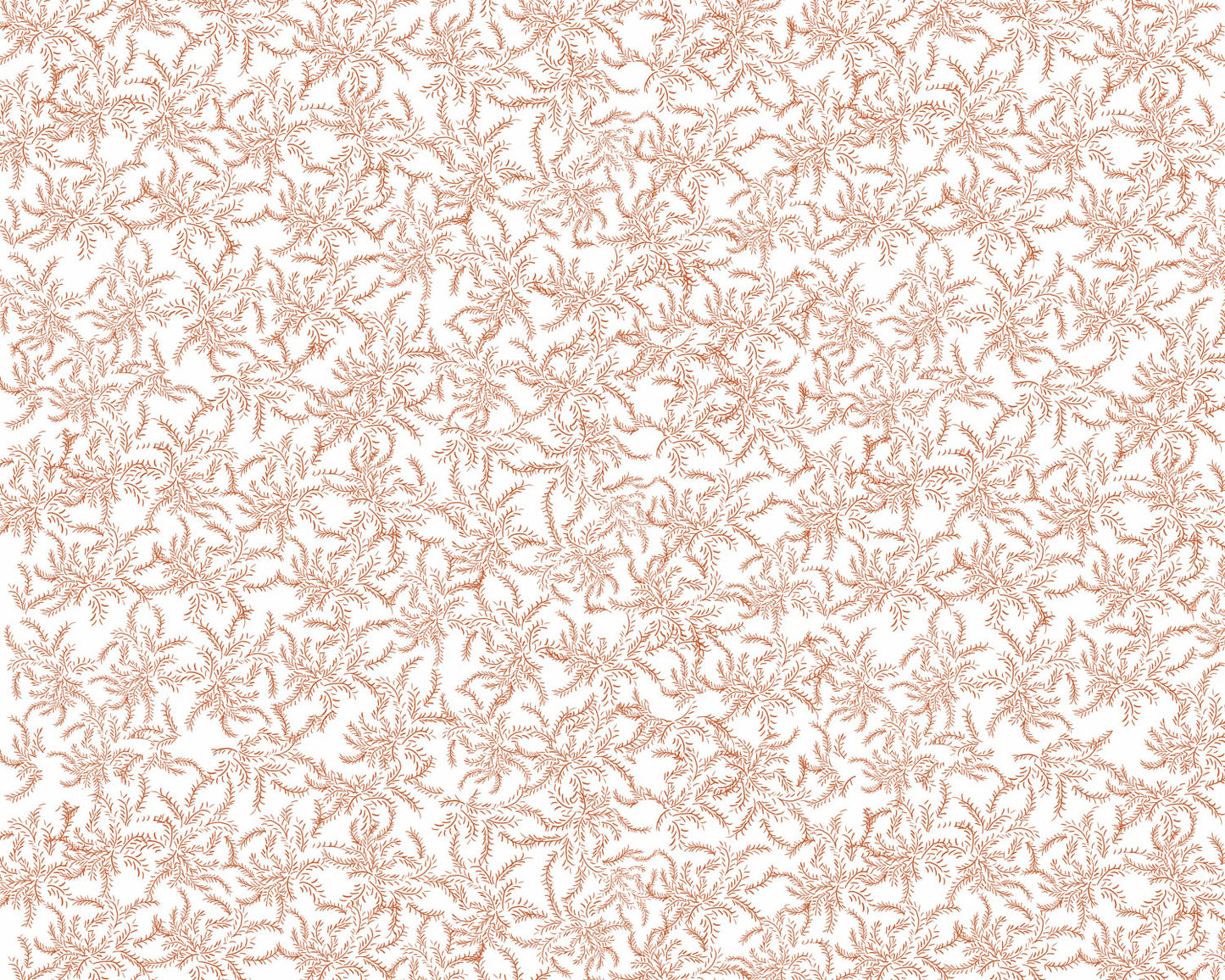 Laurel Caqui - Papel Pintado