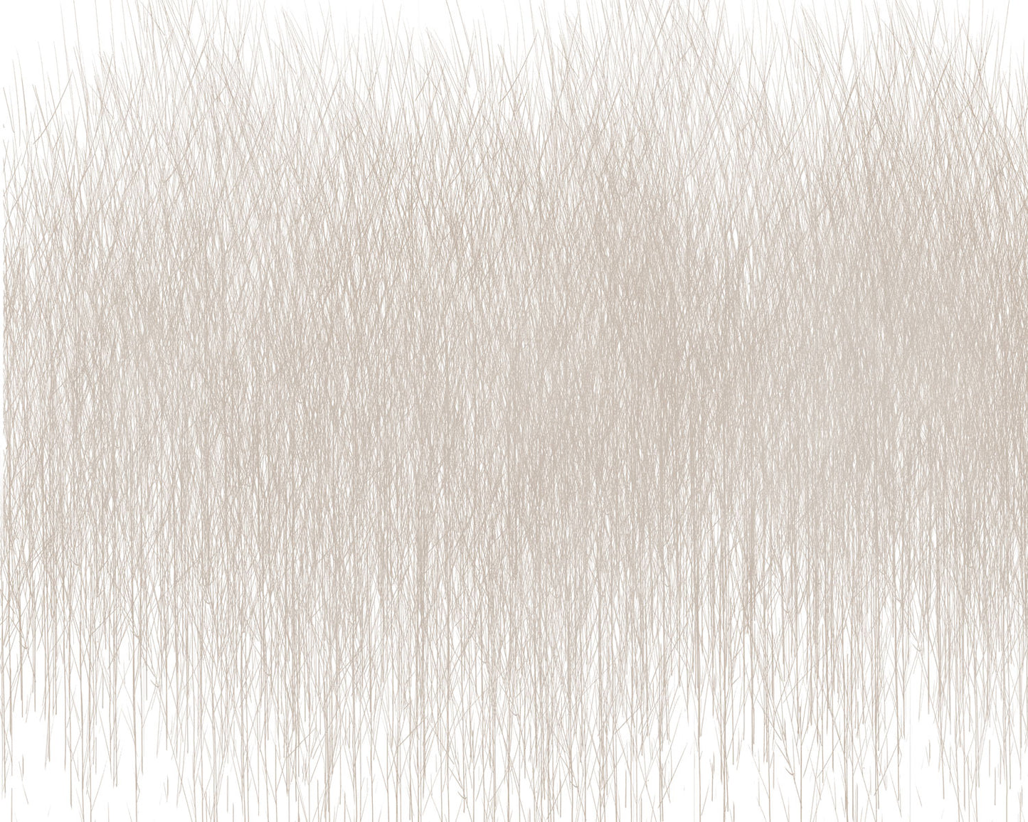 Pastos Beige - Papel Pintado x m2