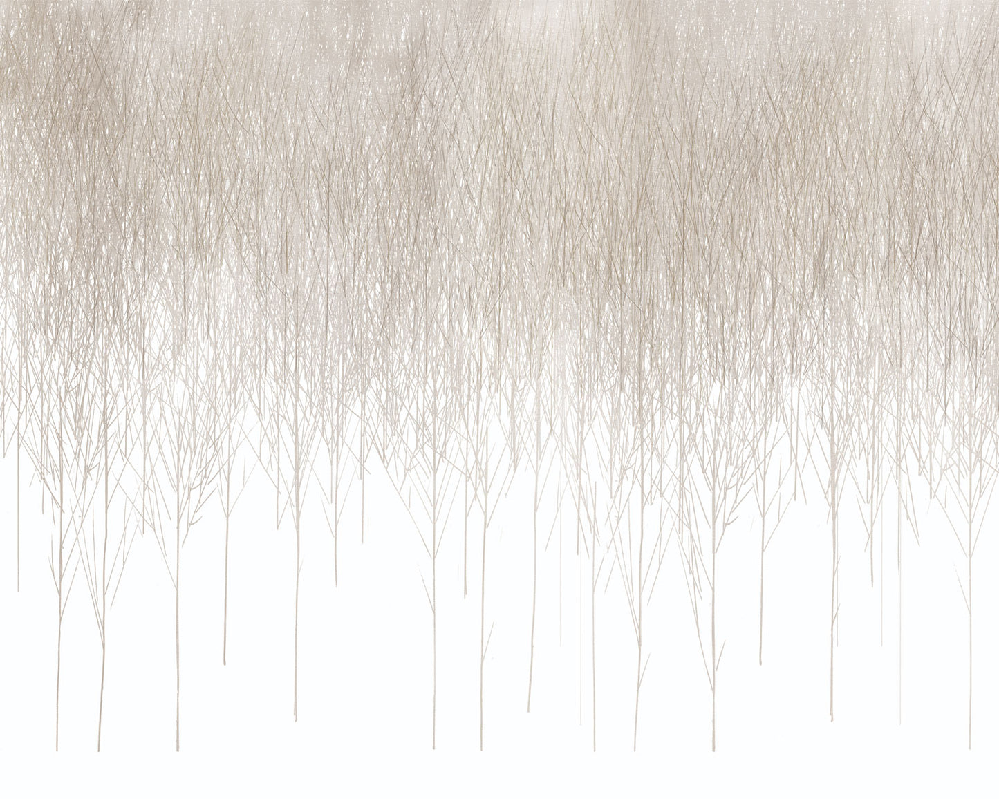 Profundo Beige - Papel Pintado x m2