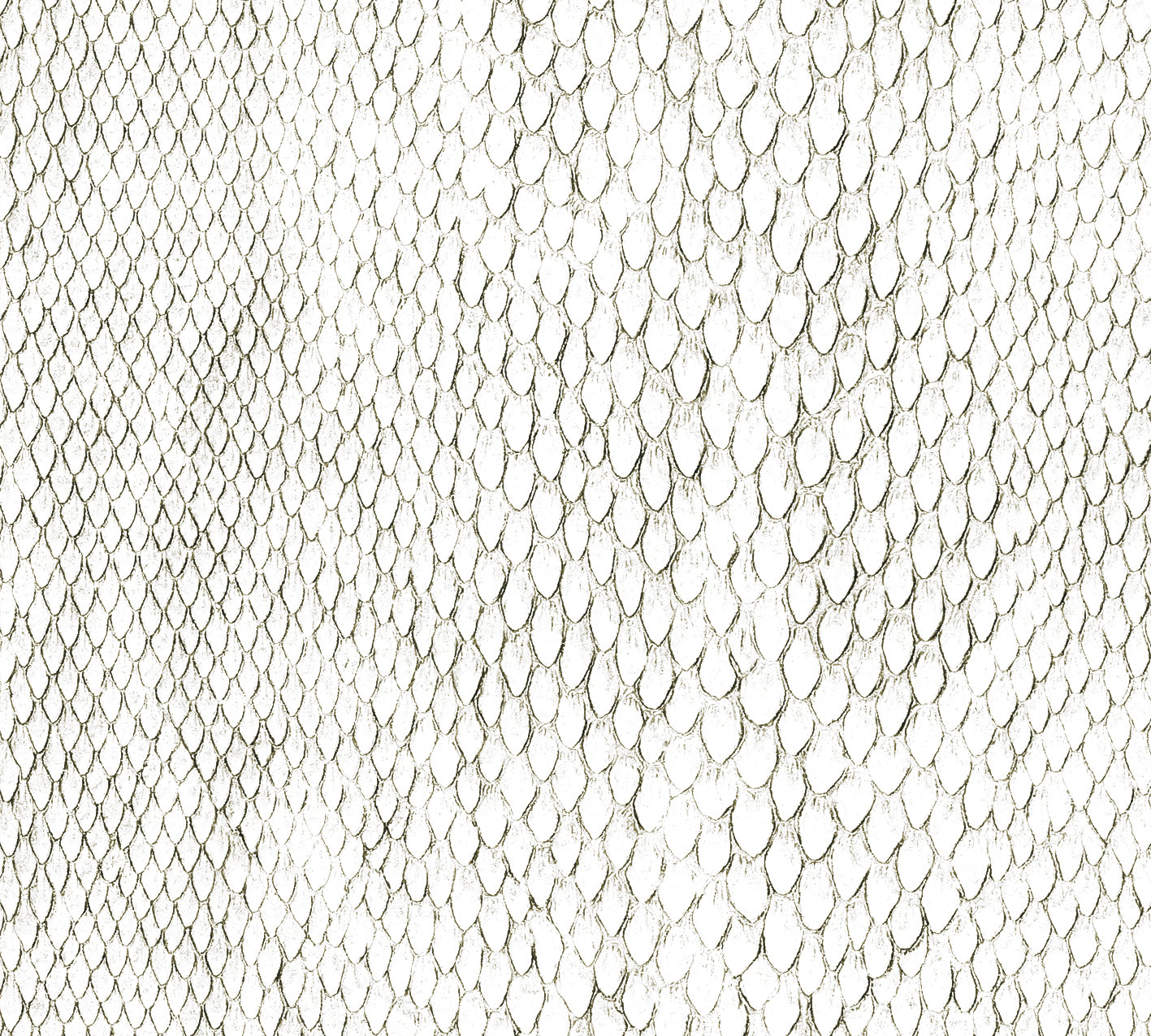 Snake - Papel Pintado x m2
